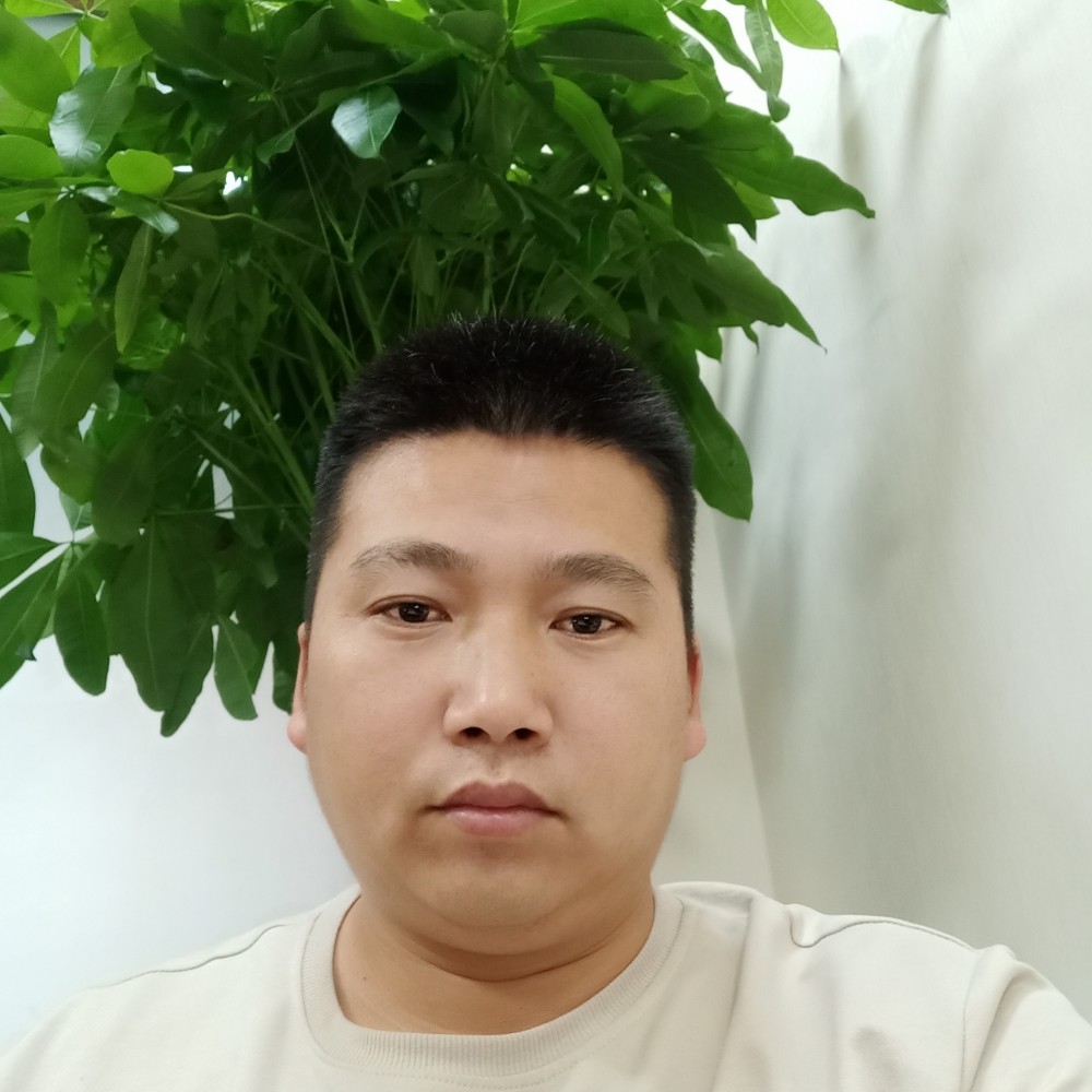 黄豆快乐的照片