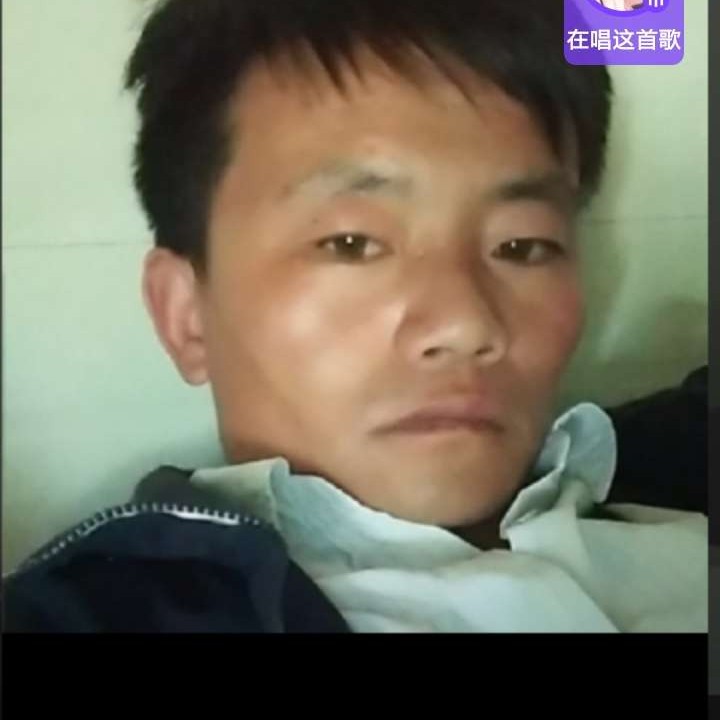 成就有龙猫的照片