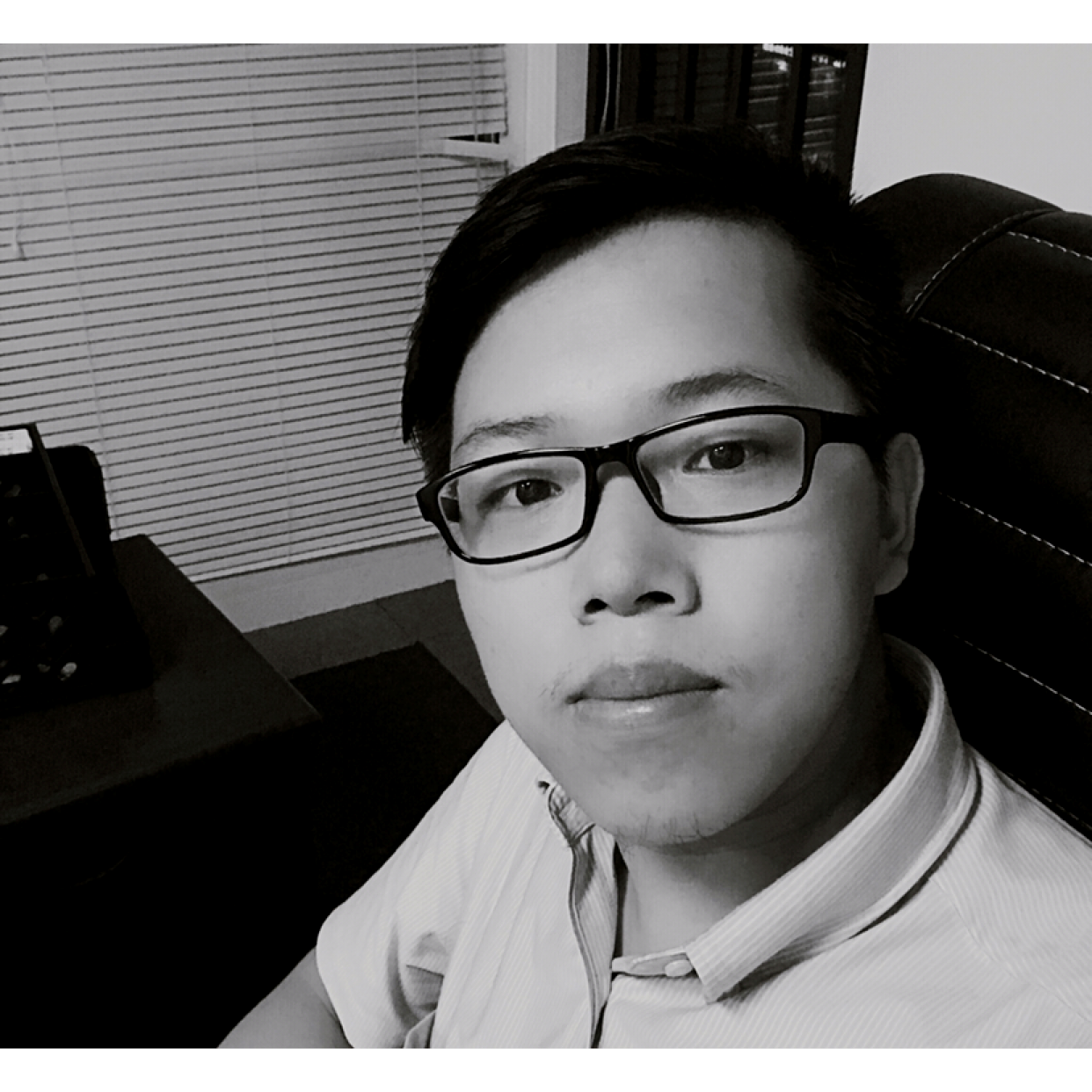 一只不英俊的羊的照片