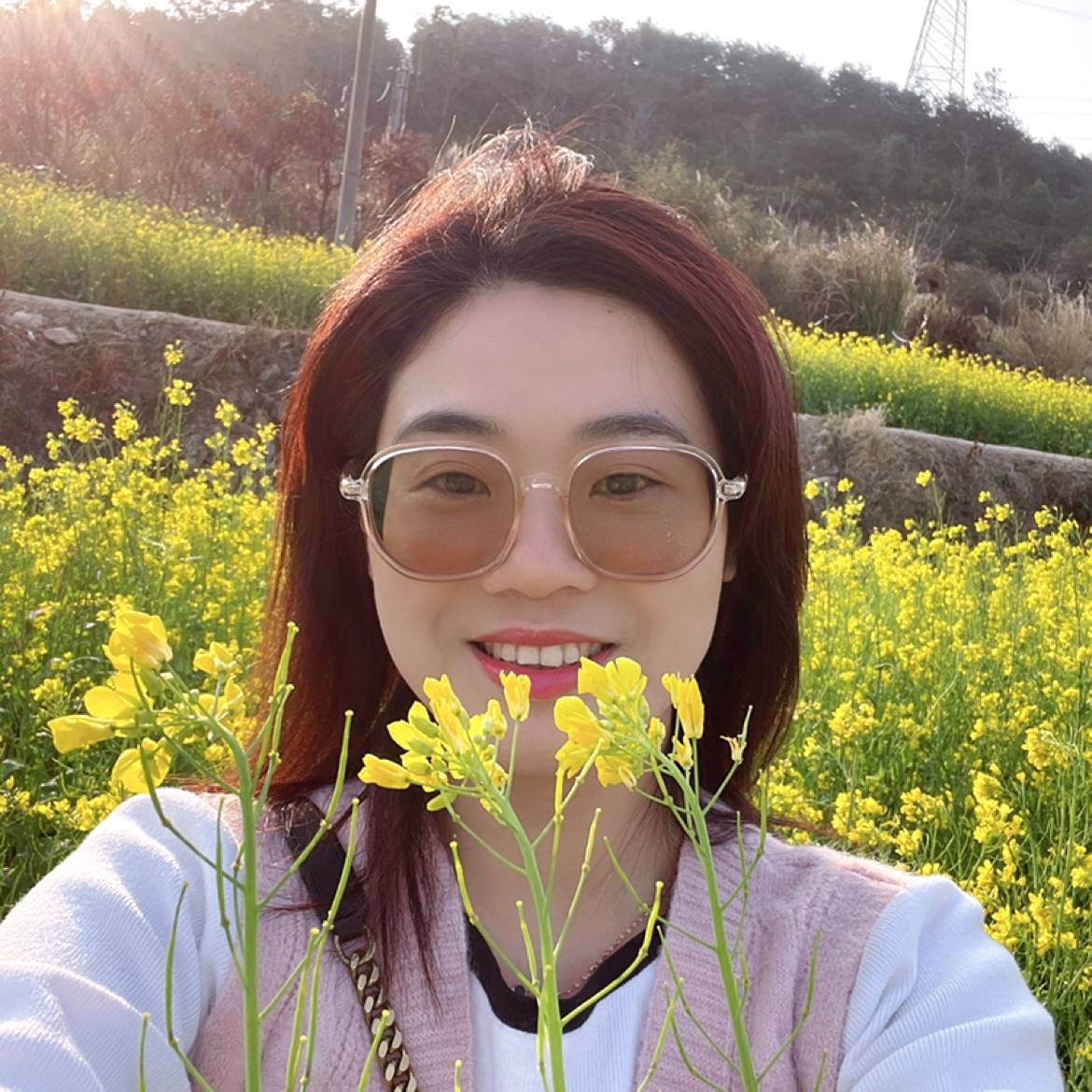 小说看不完的照片