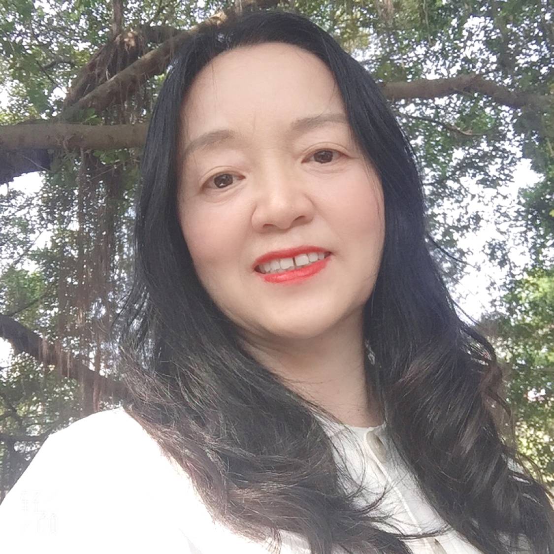黄鸸儿的照片