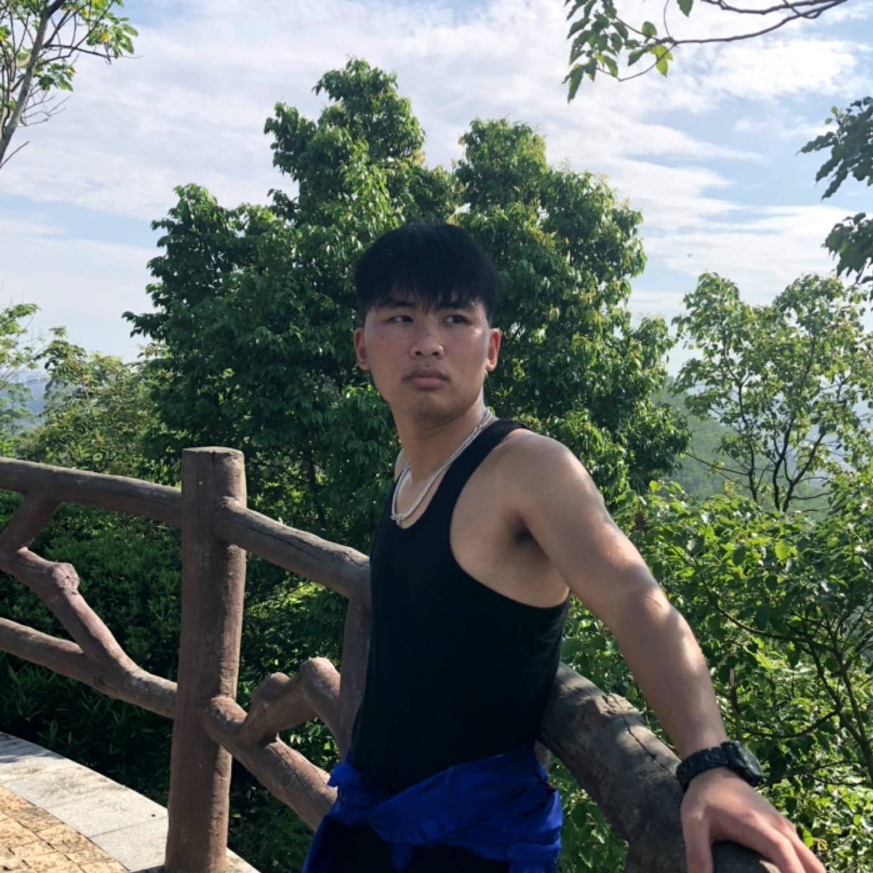 枫叶用懦弱的照片