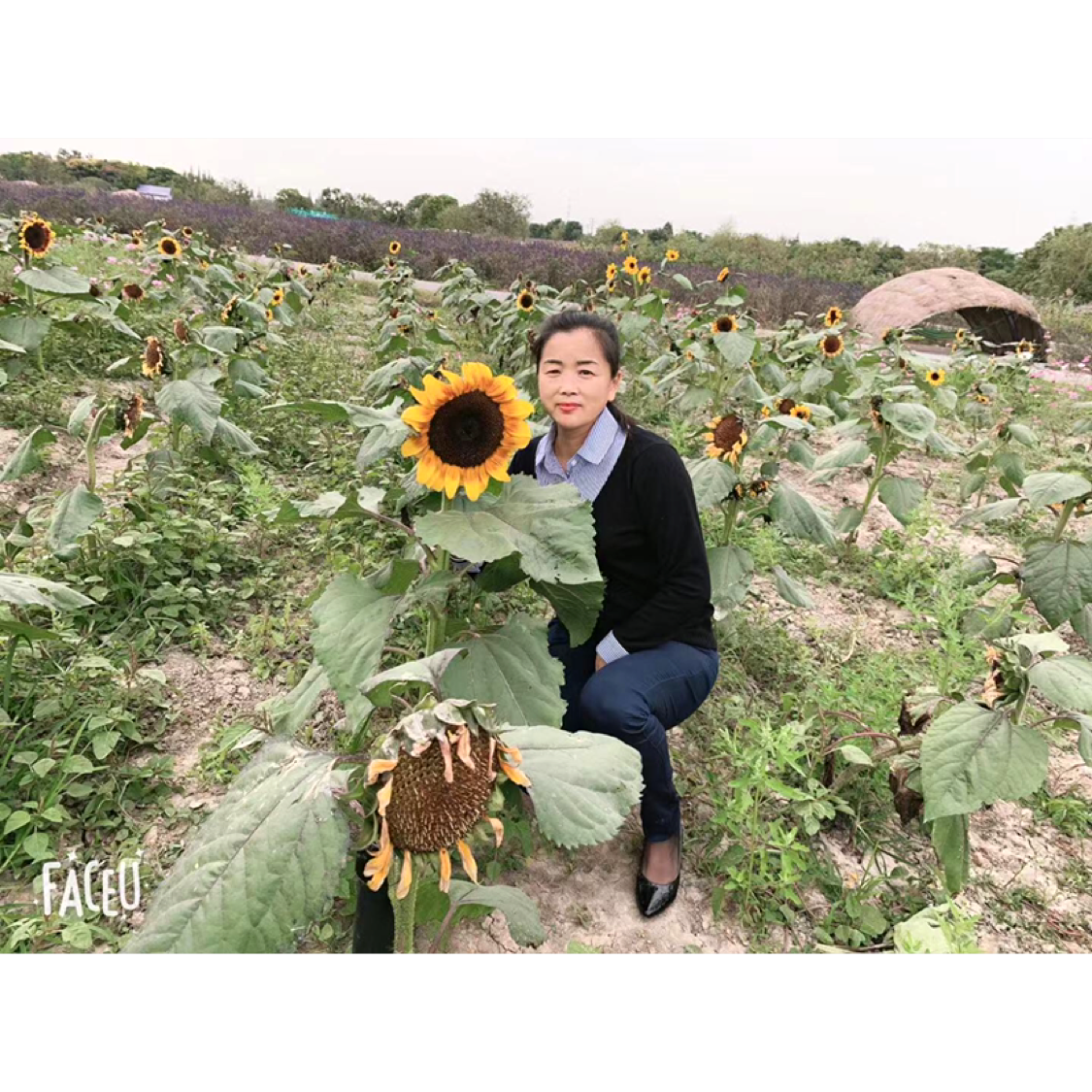 沉静给自行车的照片