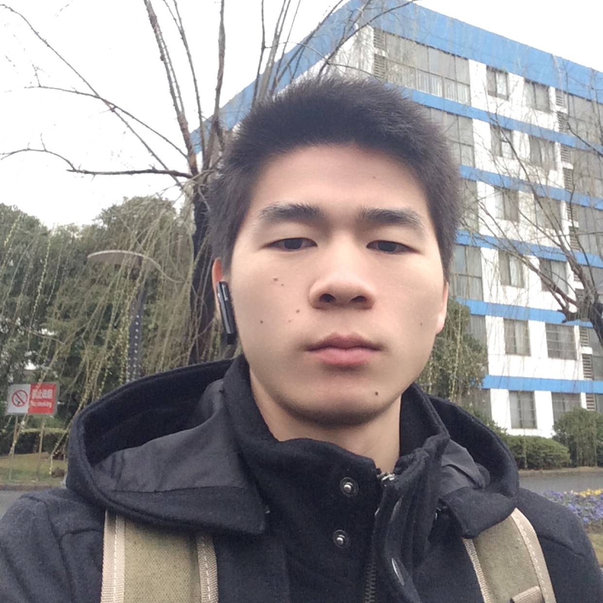 老实漫步雨中的照片