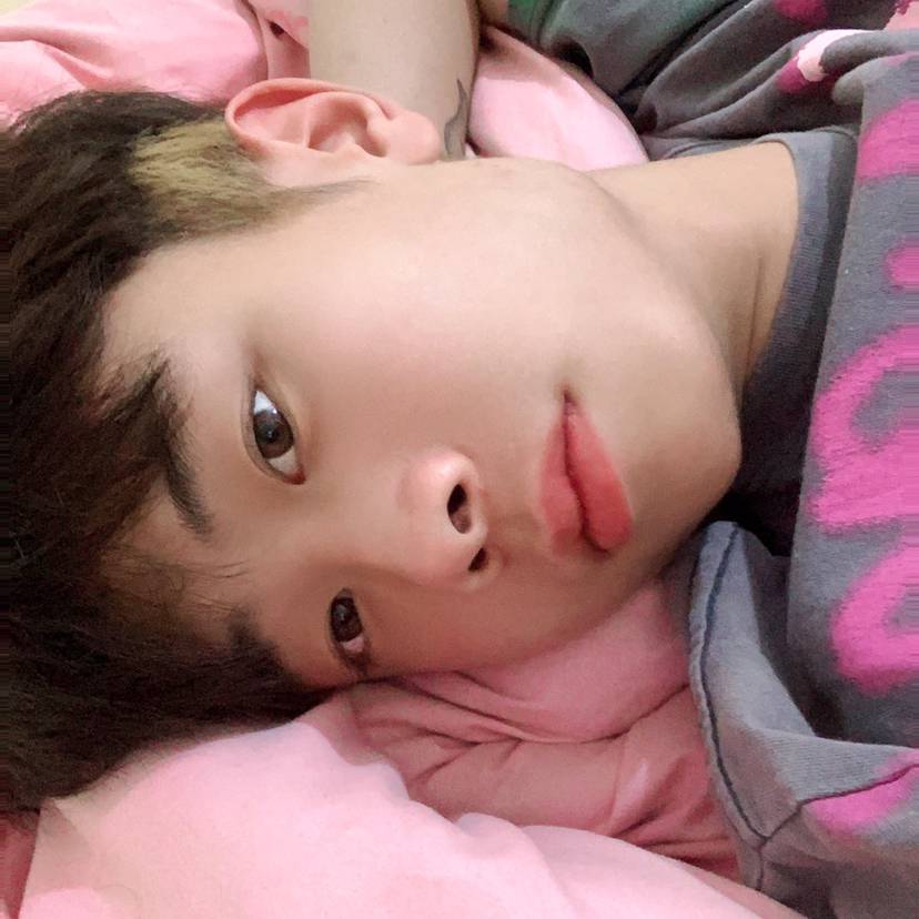 小松鼠吃醋热心的照片