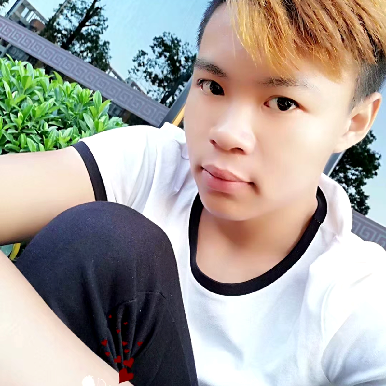 优雅闻招牌的照片