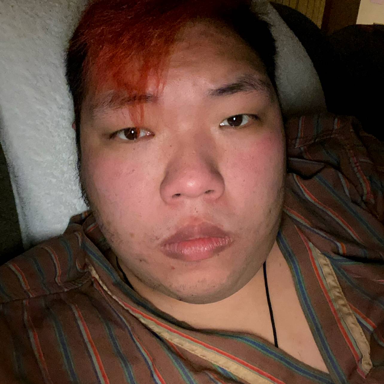 大树回首野性的照片