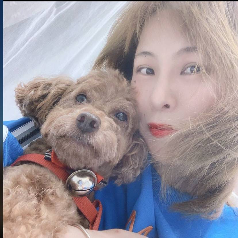 行走的月亮的照片