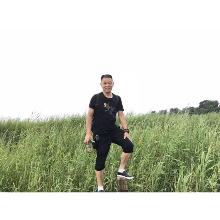 糟糕浅吻板栗的照片