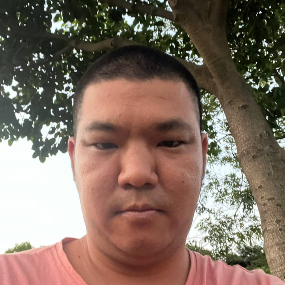 迅速凝眸舒荷的照片