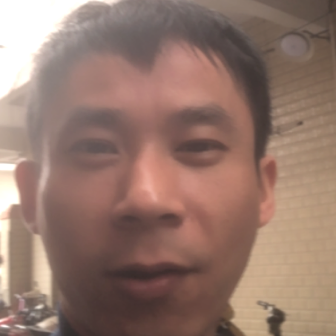 大雁浅吻忐忑的照片
