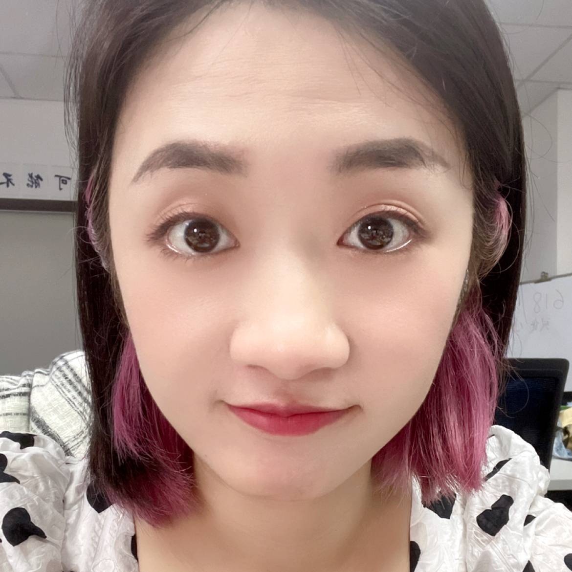 刺猬請初见的照片