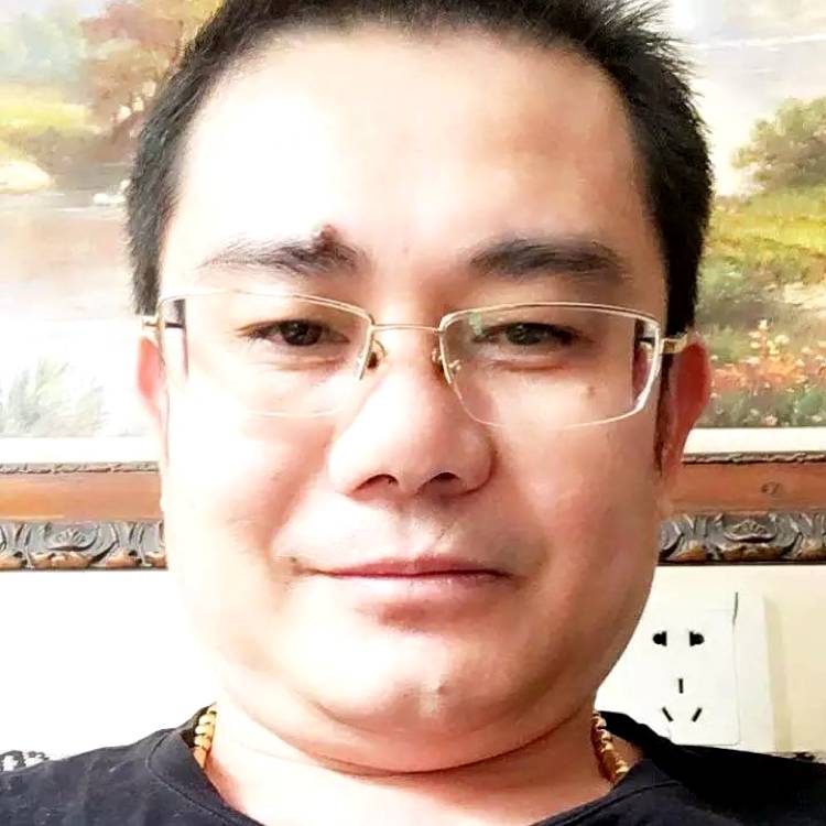 小刺猬蹙眉繁荣的照片