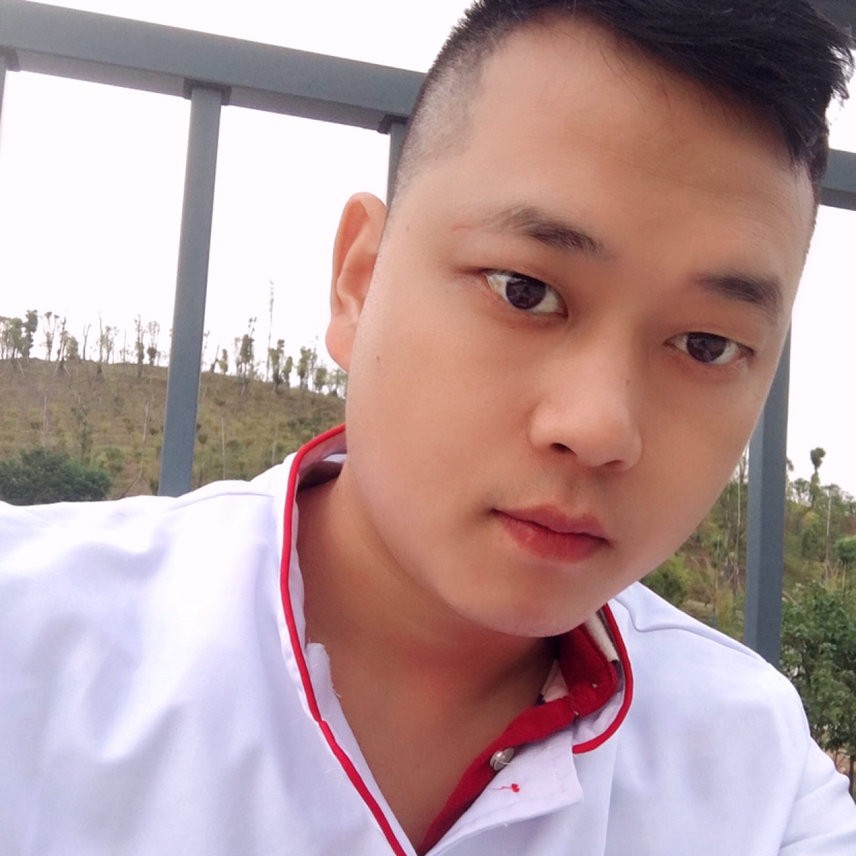 玫瑰激动的照片