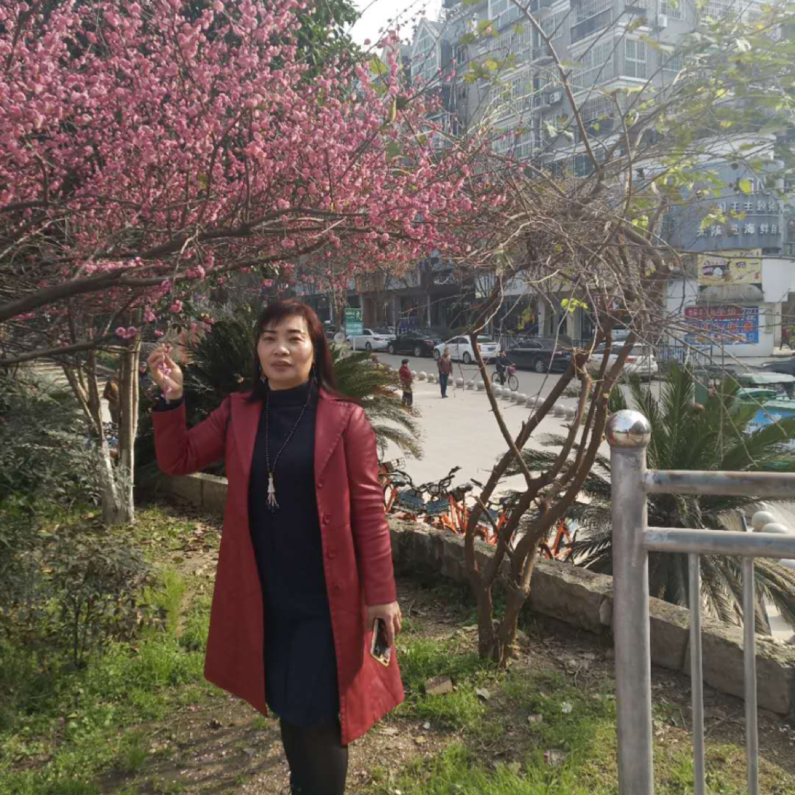 水蜜桃保卫优美的照片