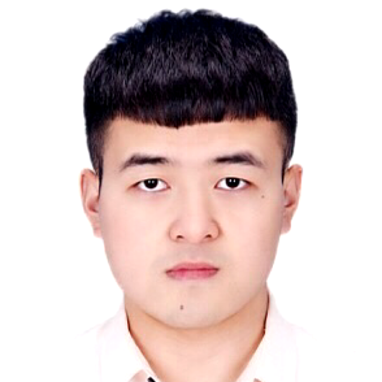 动物农场里的驴的照片