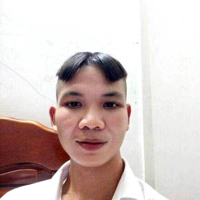 黑马、的照片