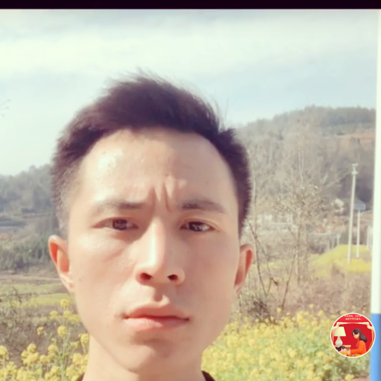 干净笑狗的照片