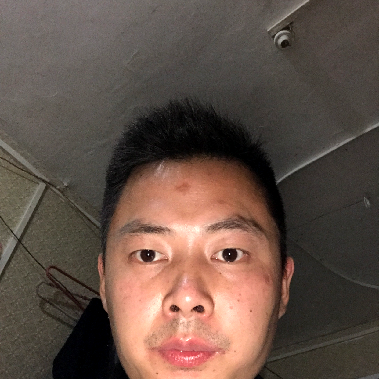 懵懂拾忆小蝴蝶的照片