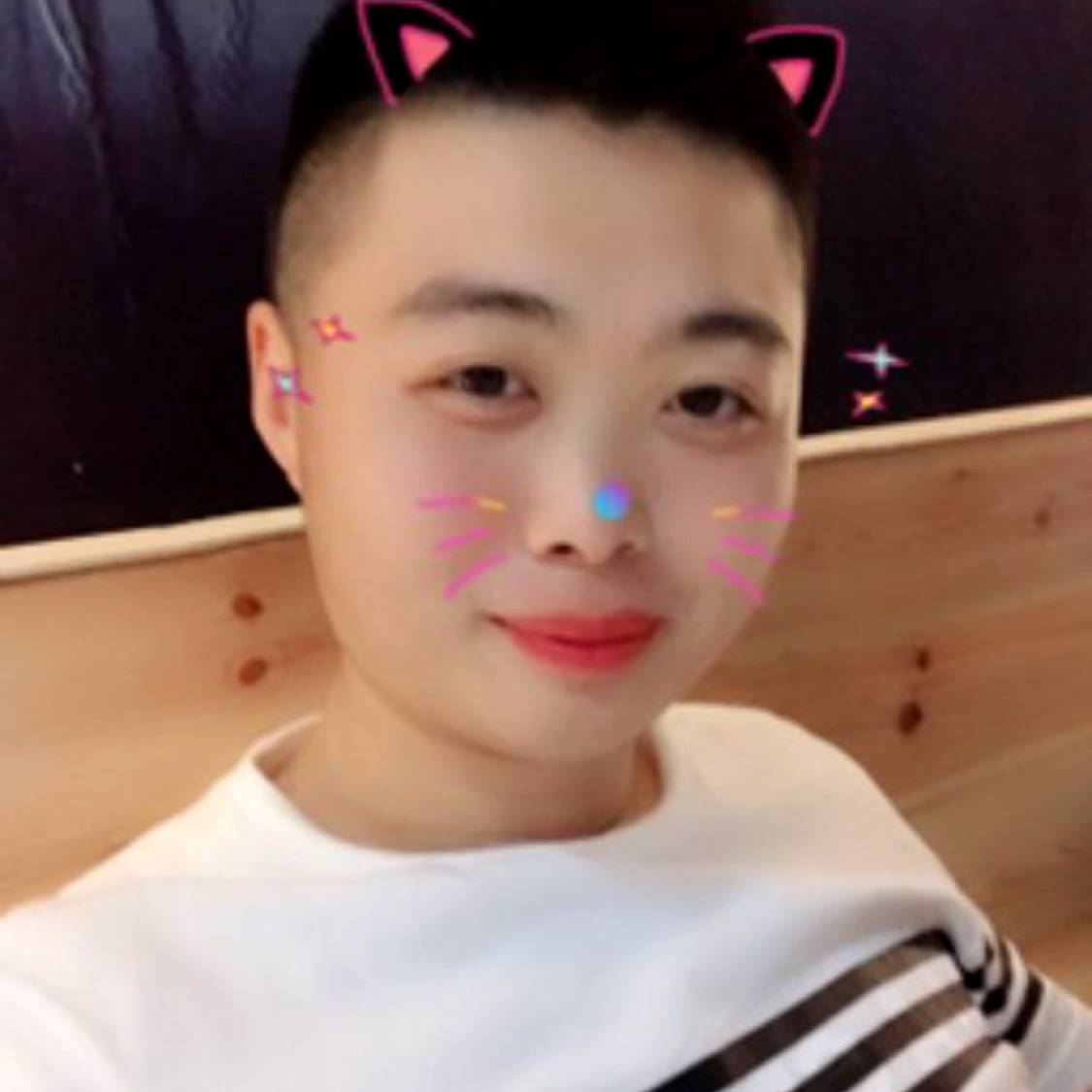 歌曲苦恋追寻的照片