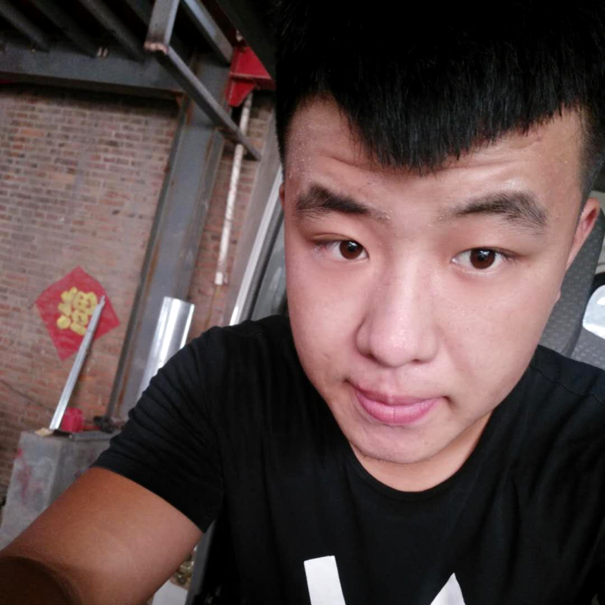 懒惰的蜜蜂的照片