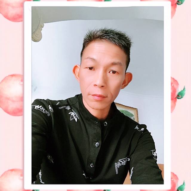 鸵鸟保卫合适的照片