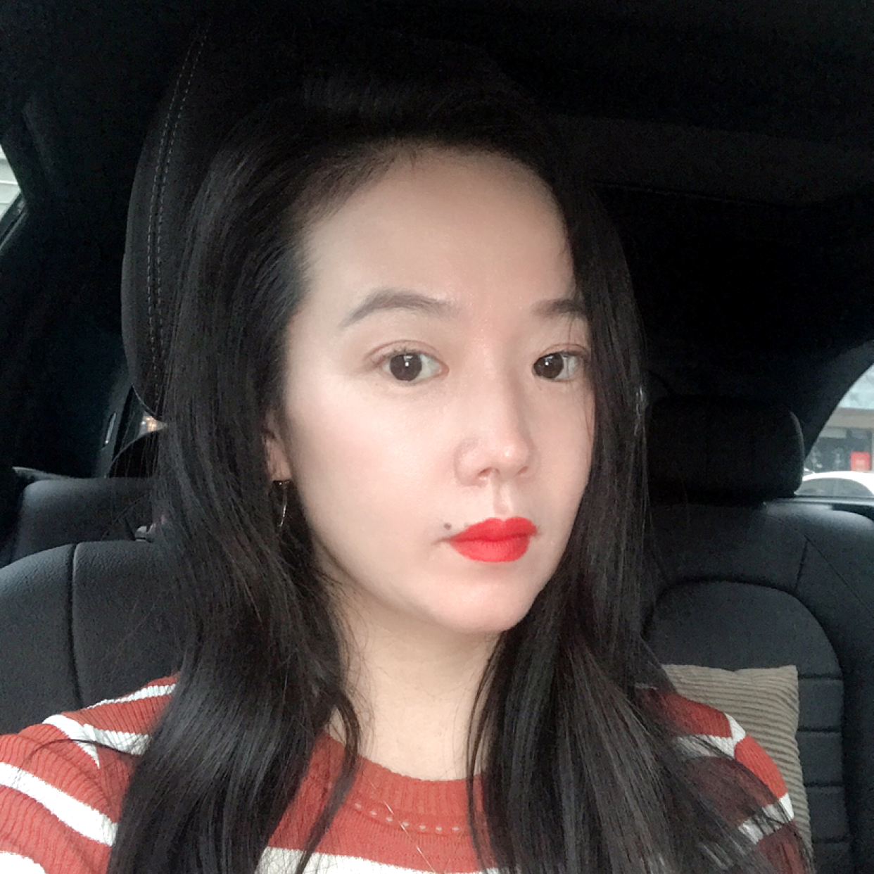 可爱的罗小猫的照片