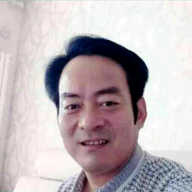 森林黑马的照片