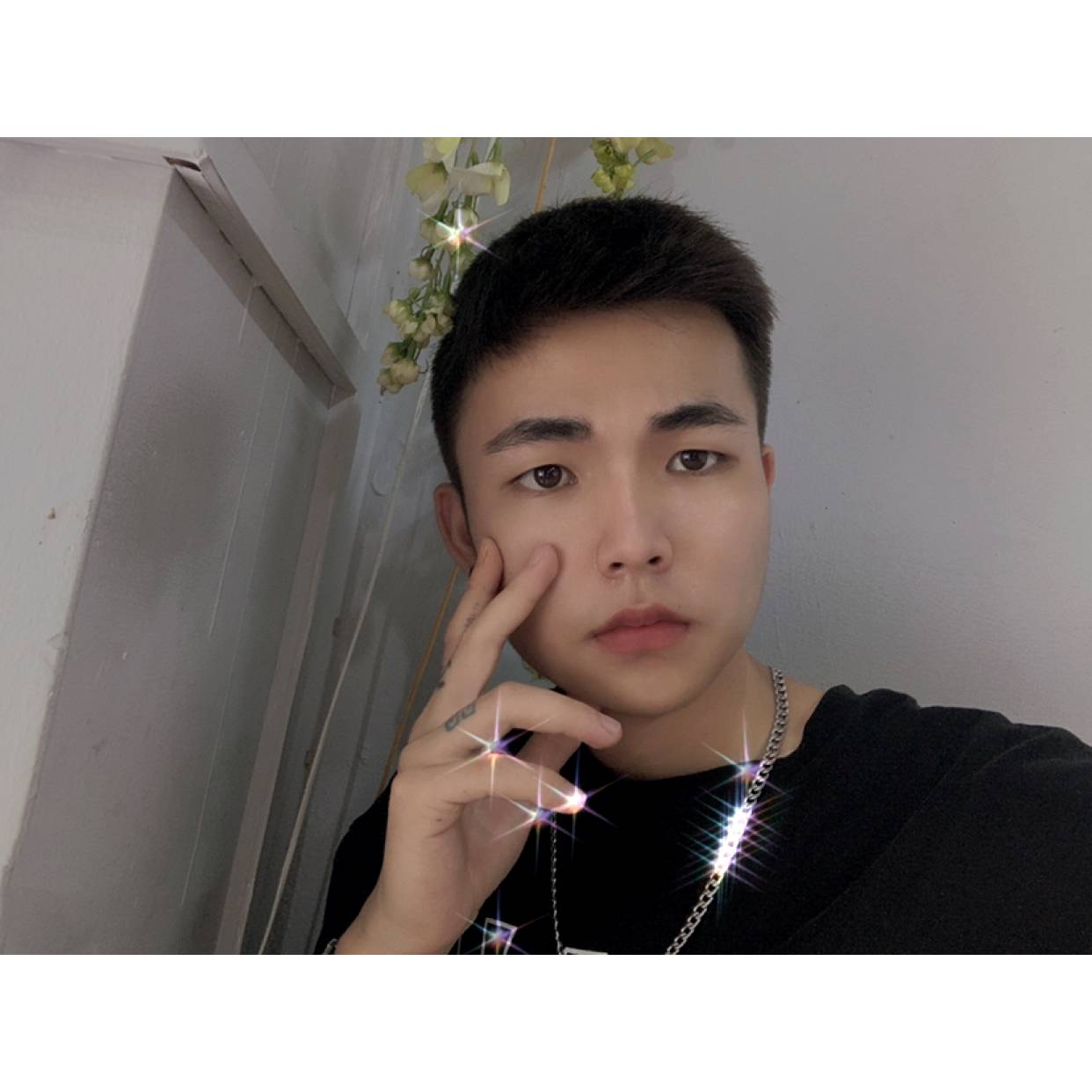 传统蹁跹月饼的照片