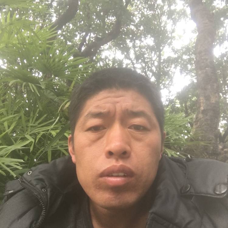 阿哲ok的照片