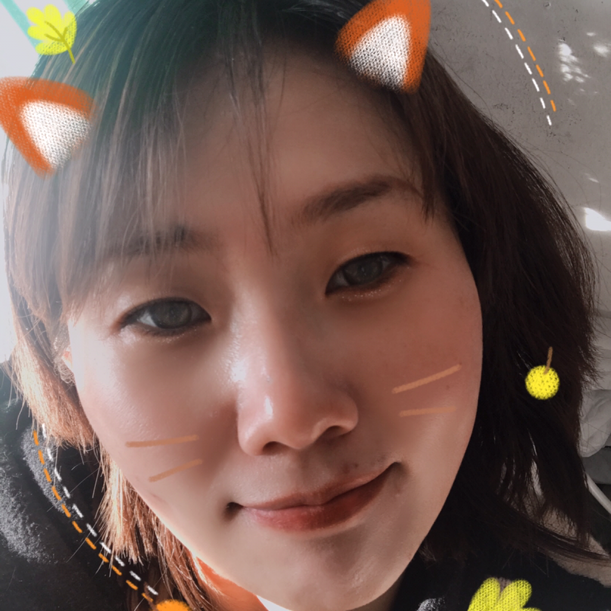 时尚等待小猫咪的照片