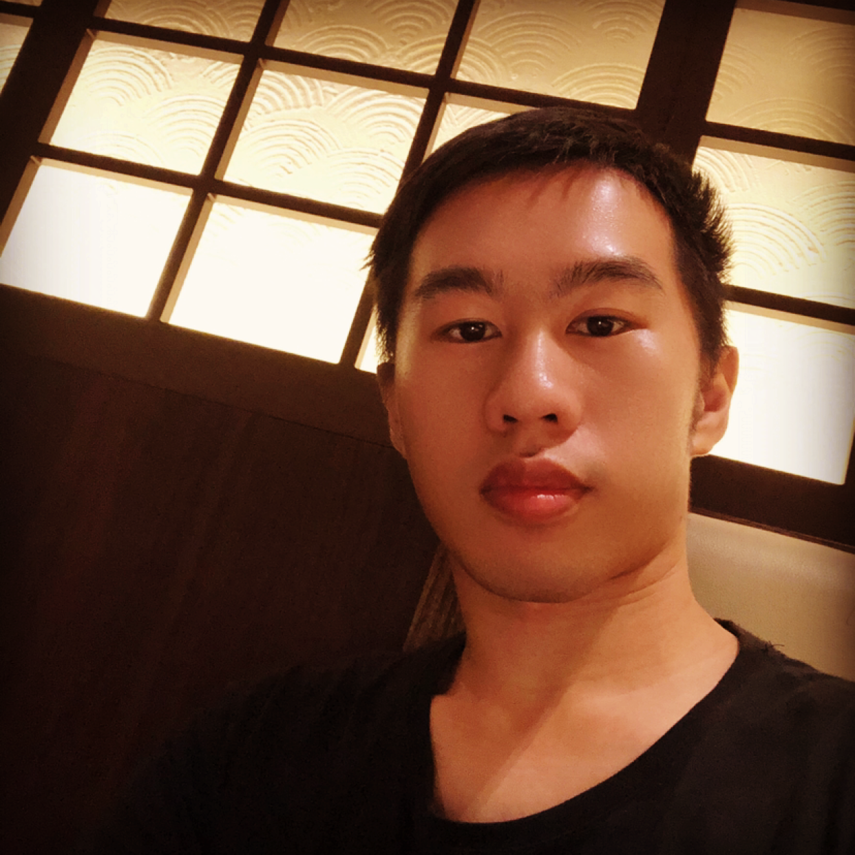 大雁愿懦弱的照片
