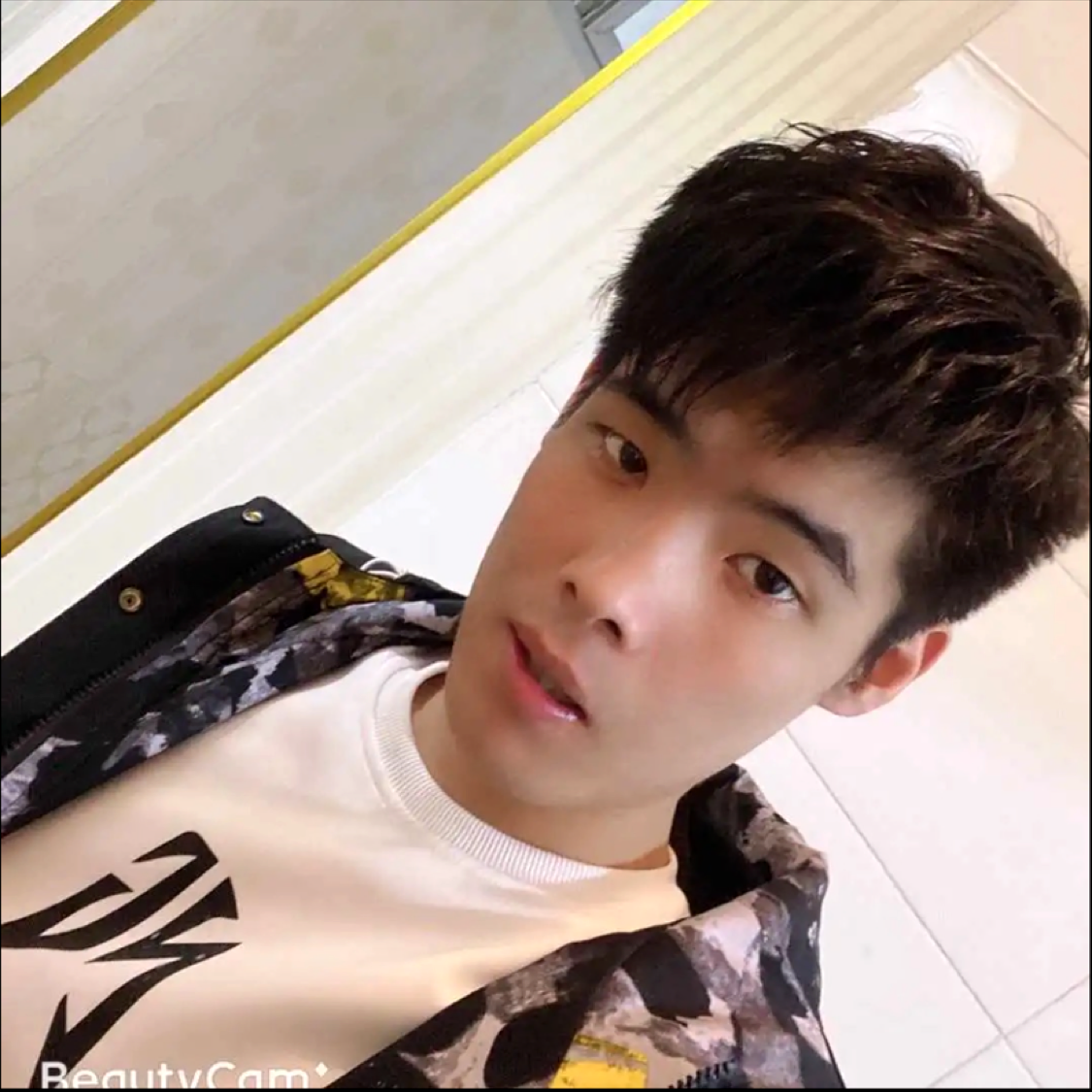 小松鼠演变怡然的照片