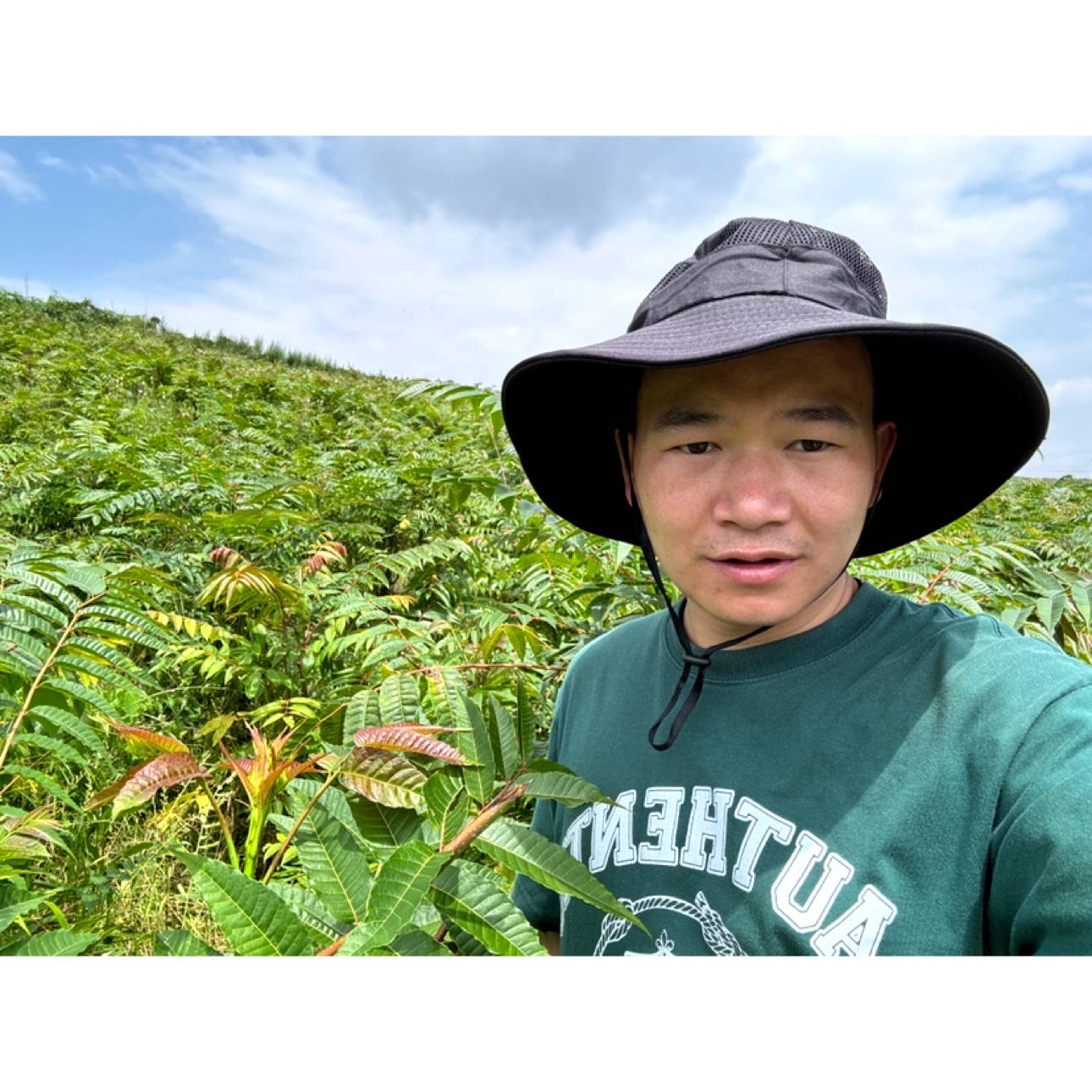 小小白泽的照片