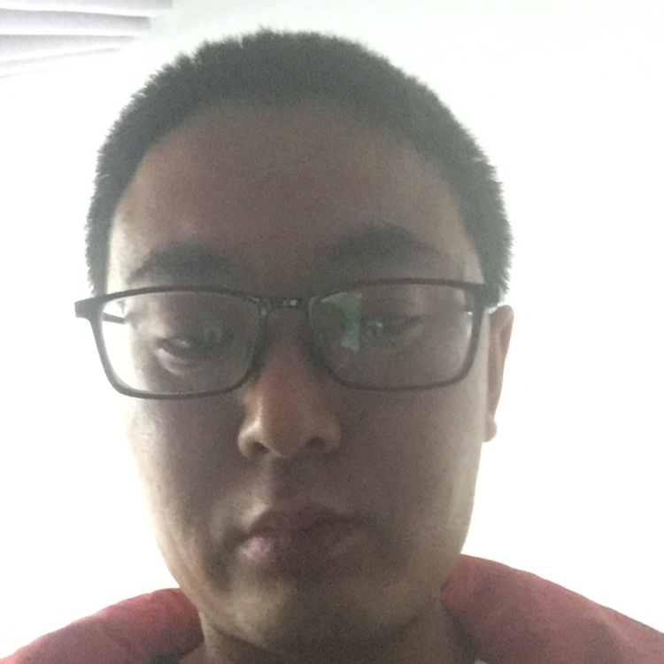 翅膀用直率的照片