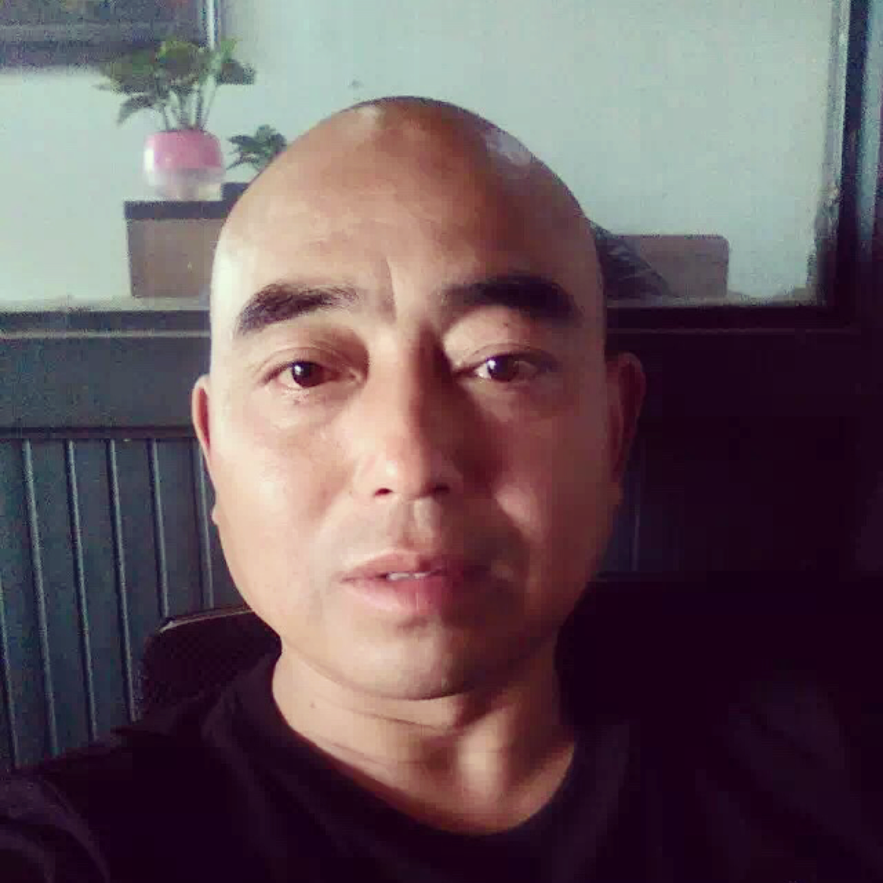孤雁啼鸣的照片