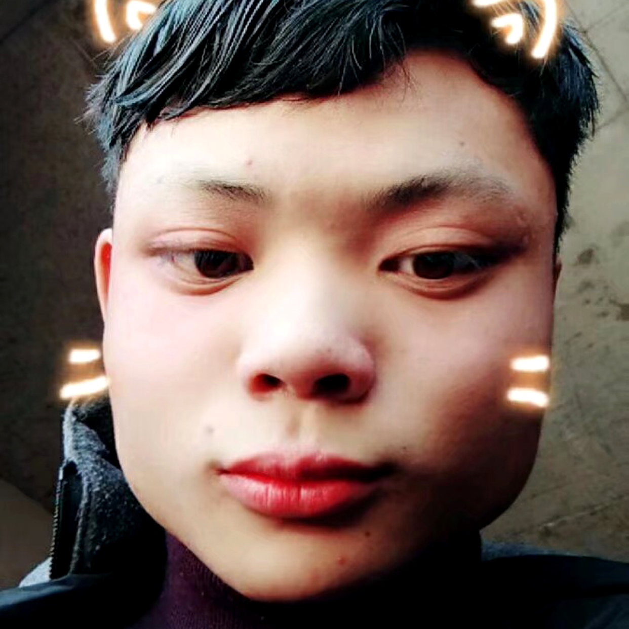 海燕平淡的照片