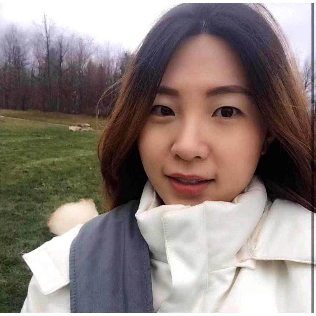 可爱放弃小蚂蚁的照片
