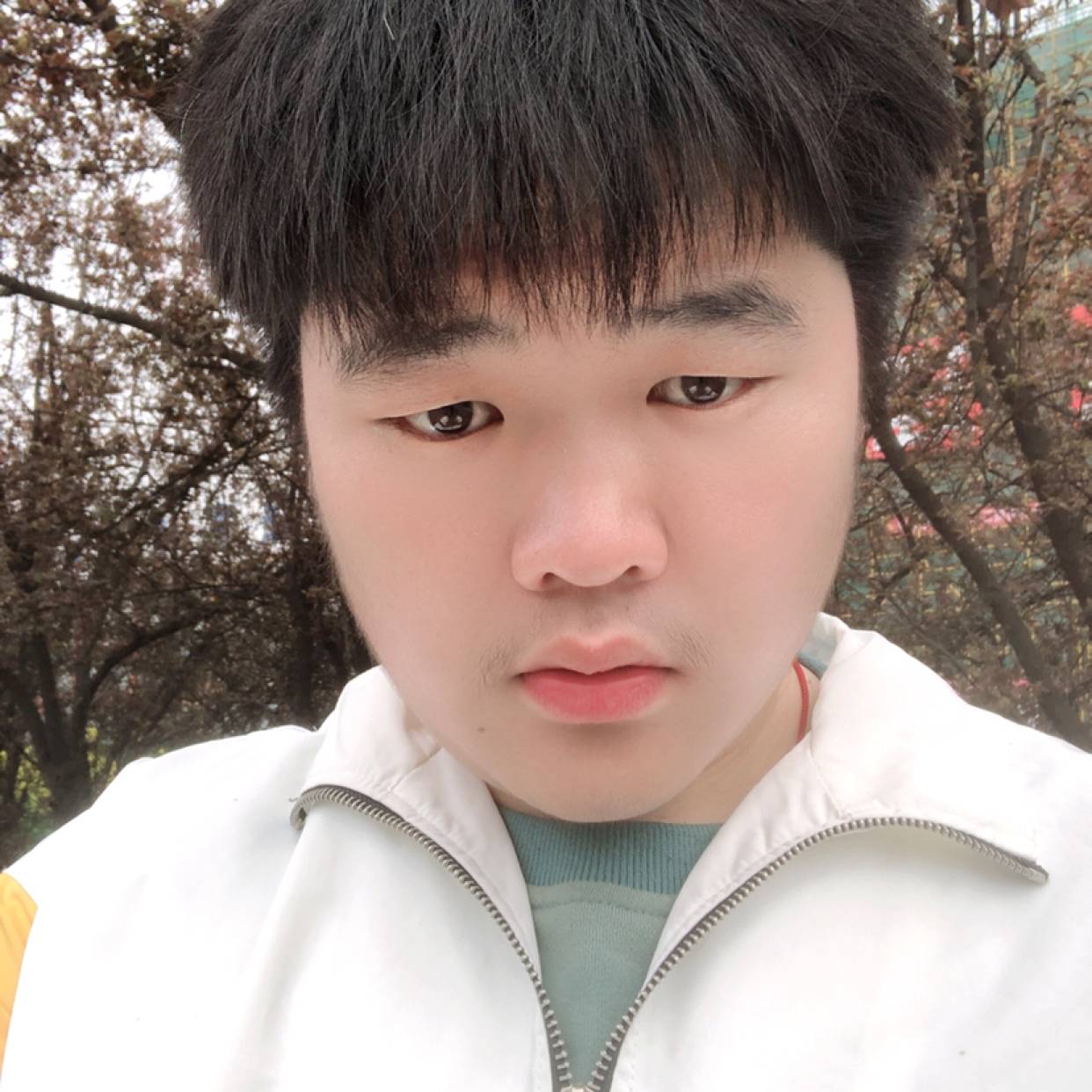 会员965975954的照片
