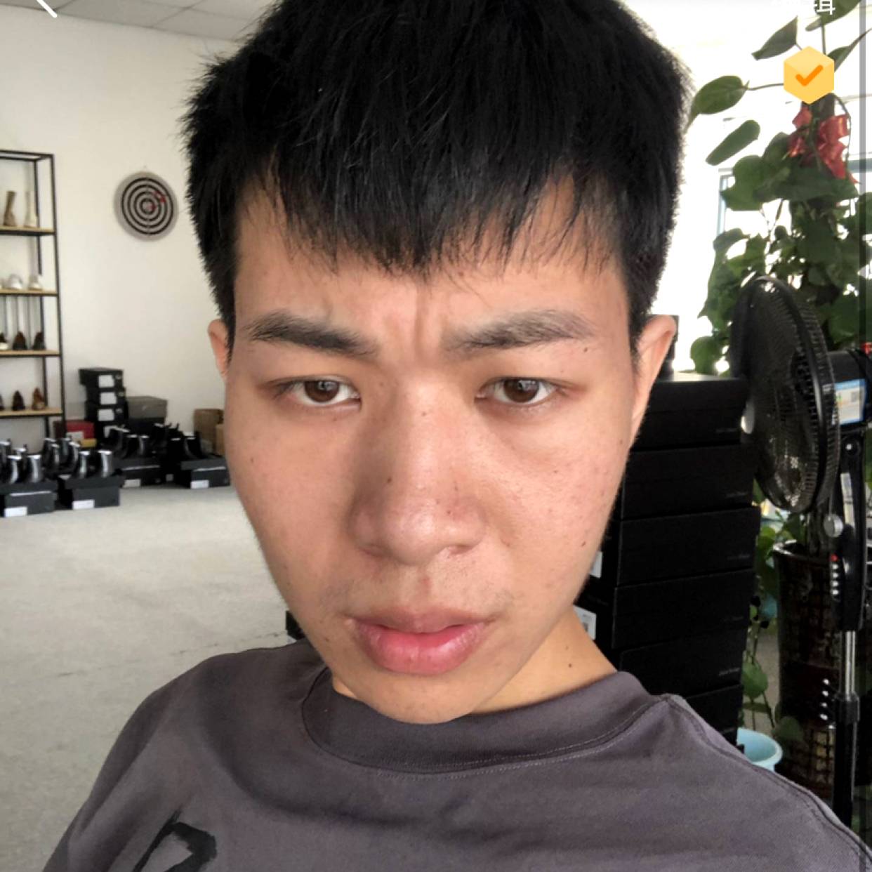 可靠放弃长颈鹿的照片