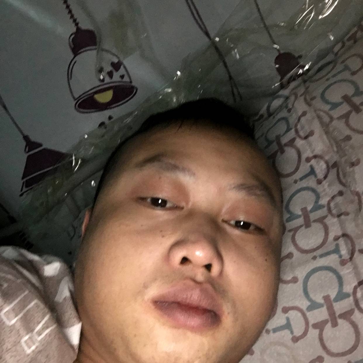 鸵鸟挽手迷茫的照片