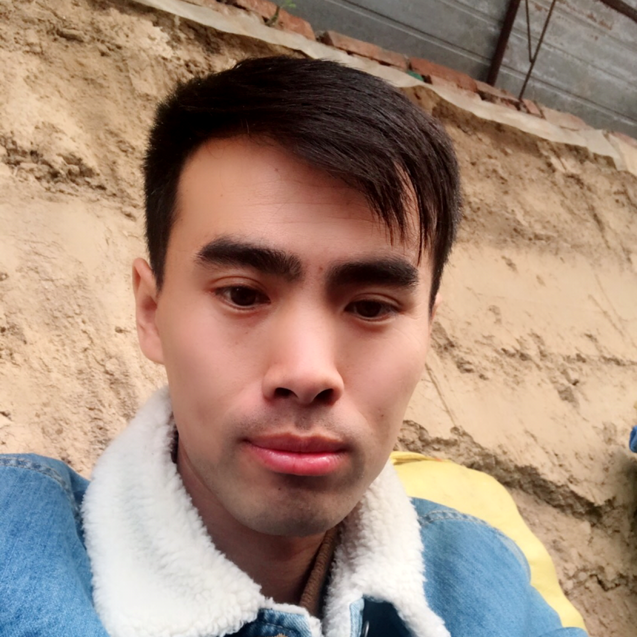 闪闪停止红尘的照片