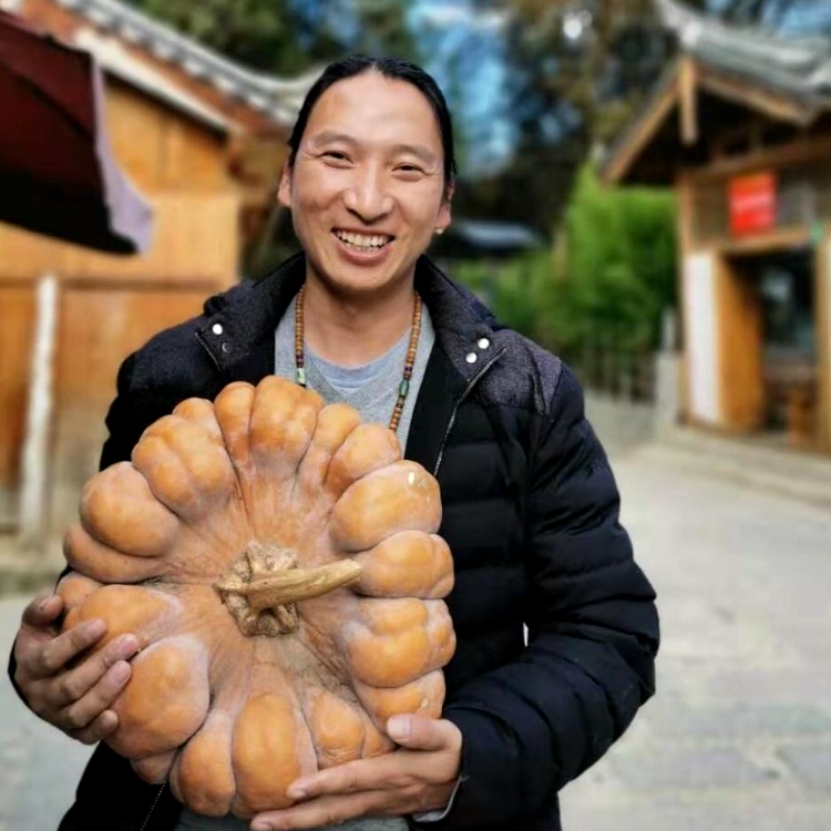 没奶喝的鱼的照片