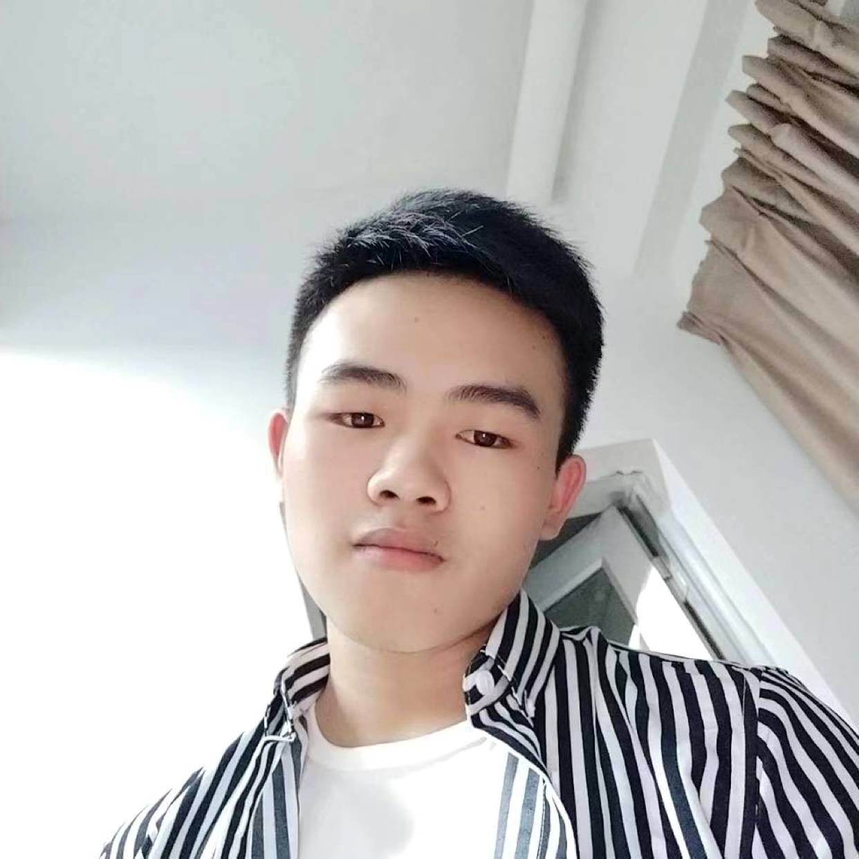 憨憨 ，11的照片