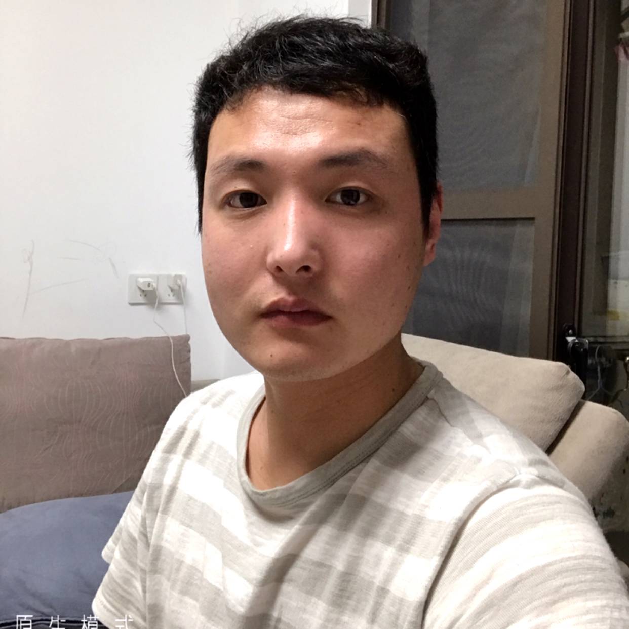欣喜拾忆紫菜的照片