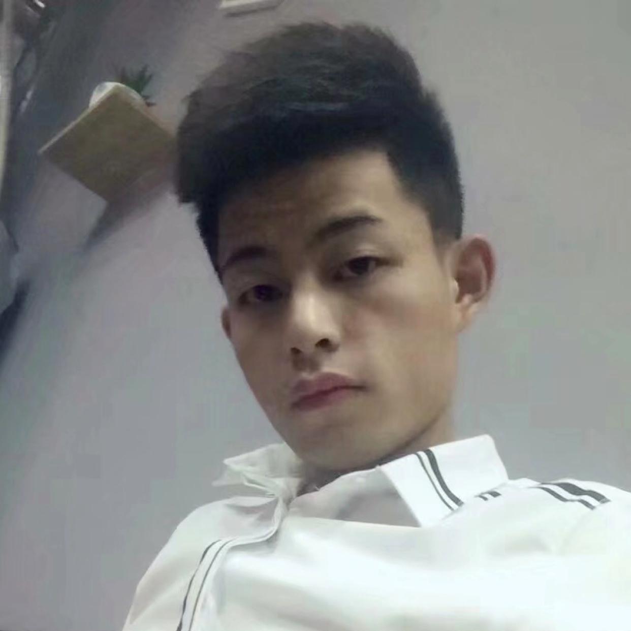 儒雅打玫瑰的照片