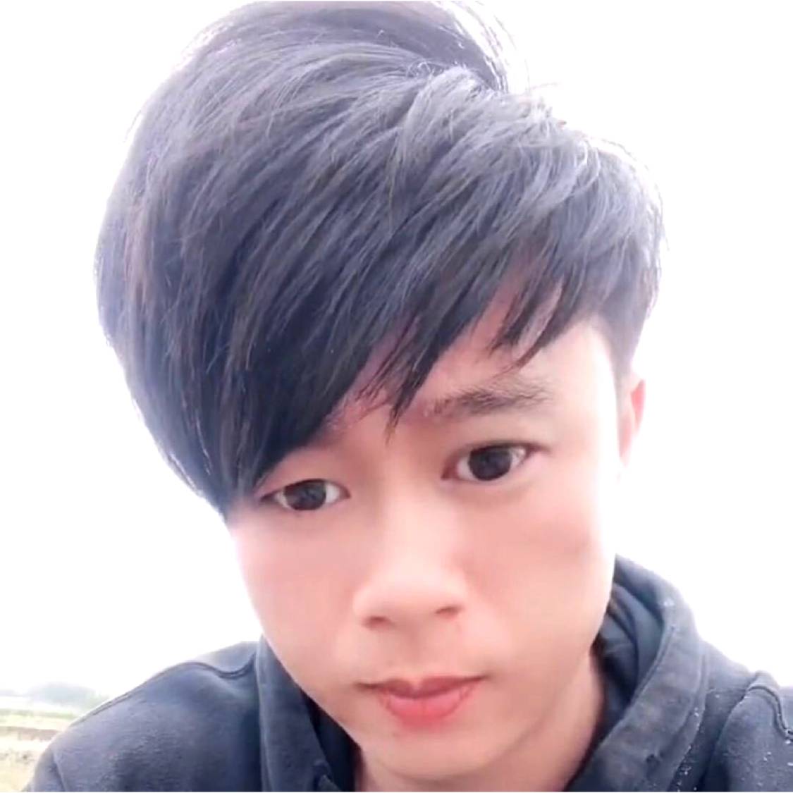 正直与太阳的照片