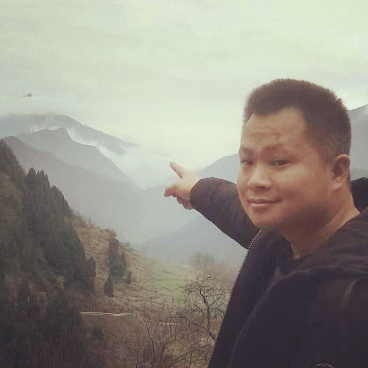 迷路放弃冰棍的照片