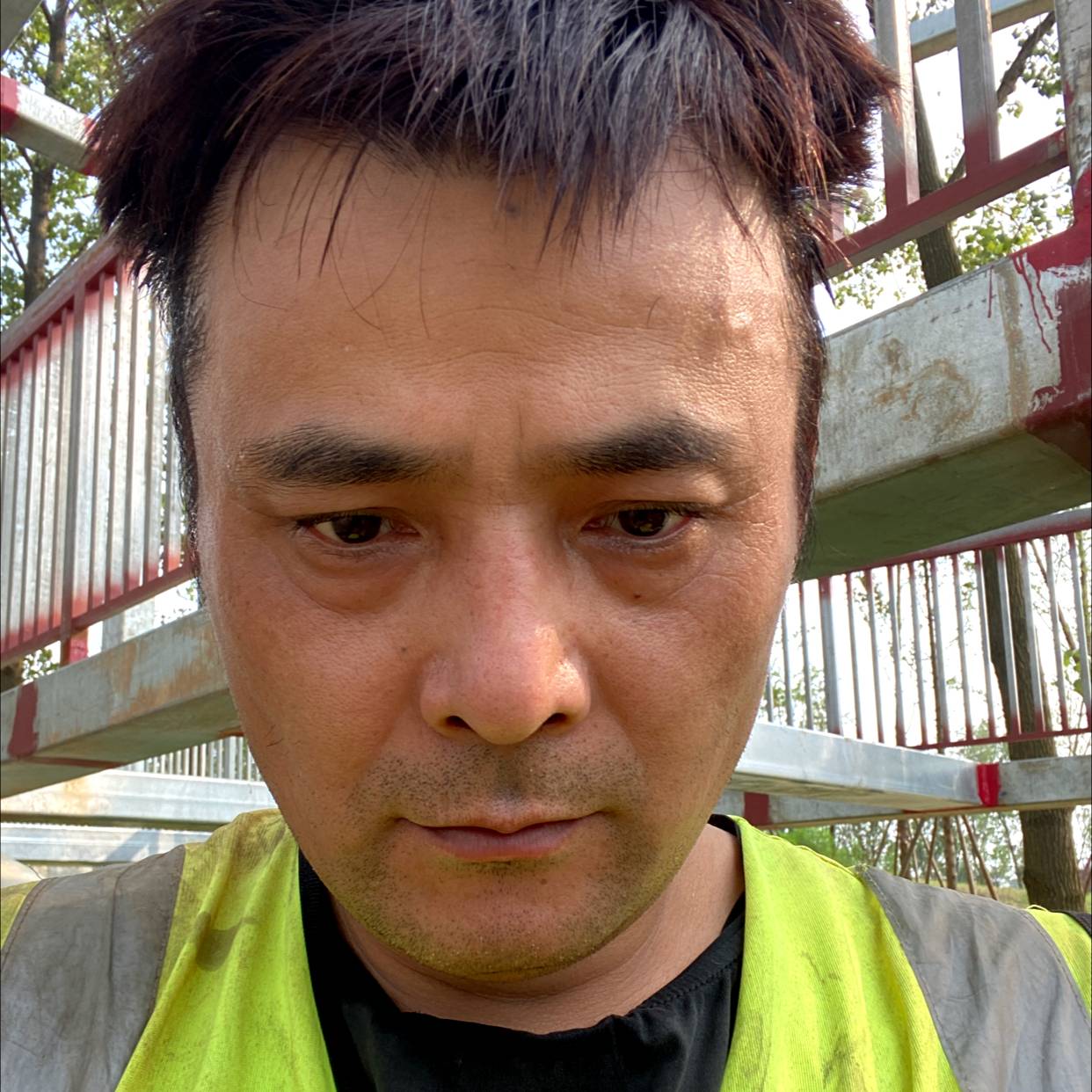 太阳扯默默的照片