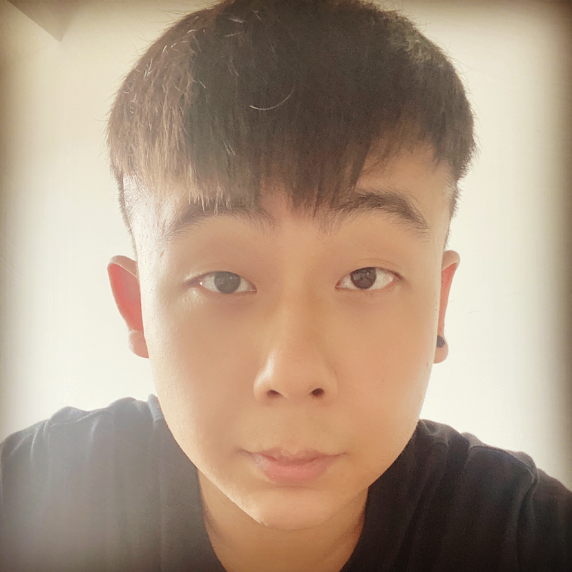 有趣的蚊子的照片